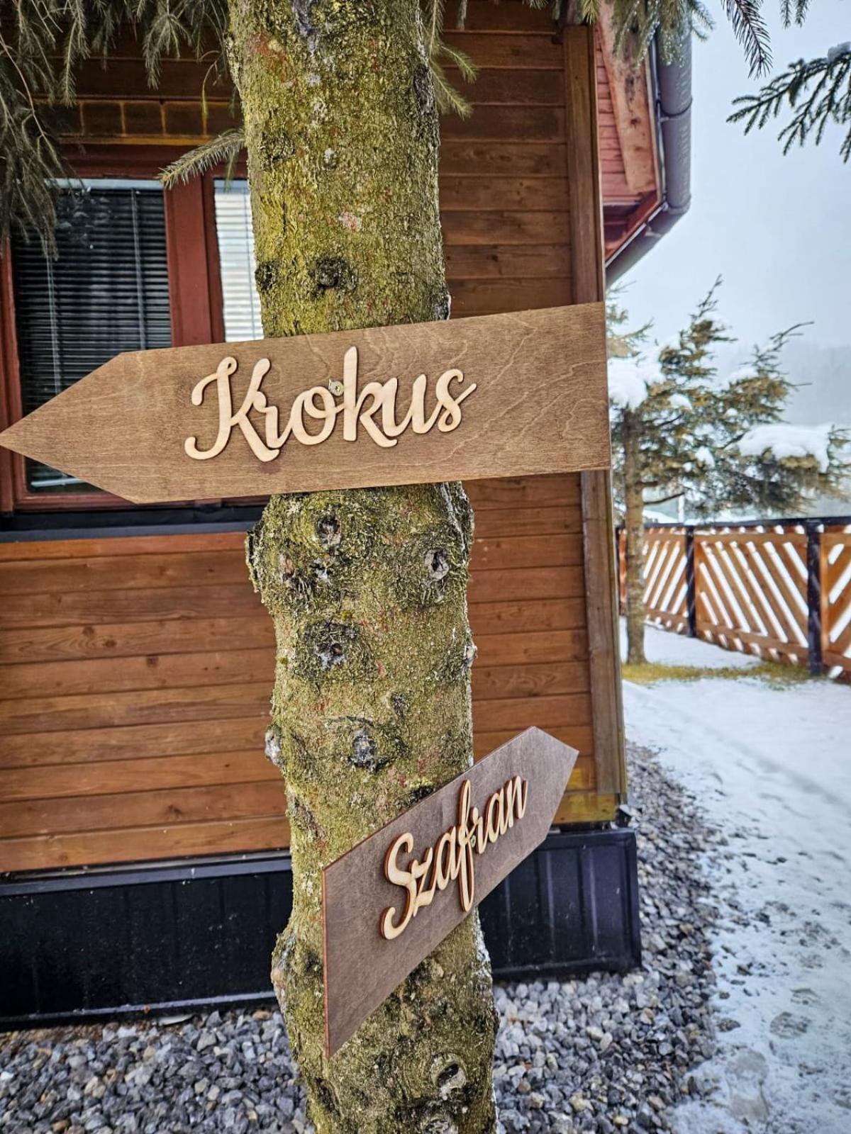 Domek Drewniany Krokus Witów Exteriér fotografie